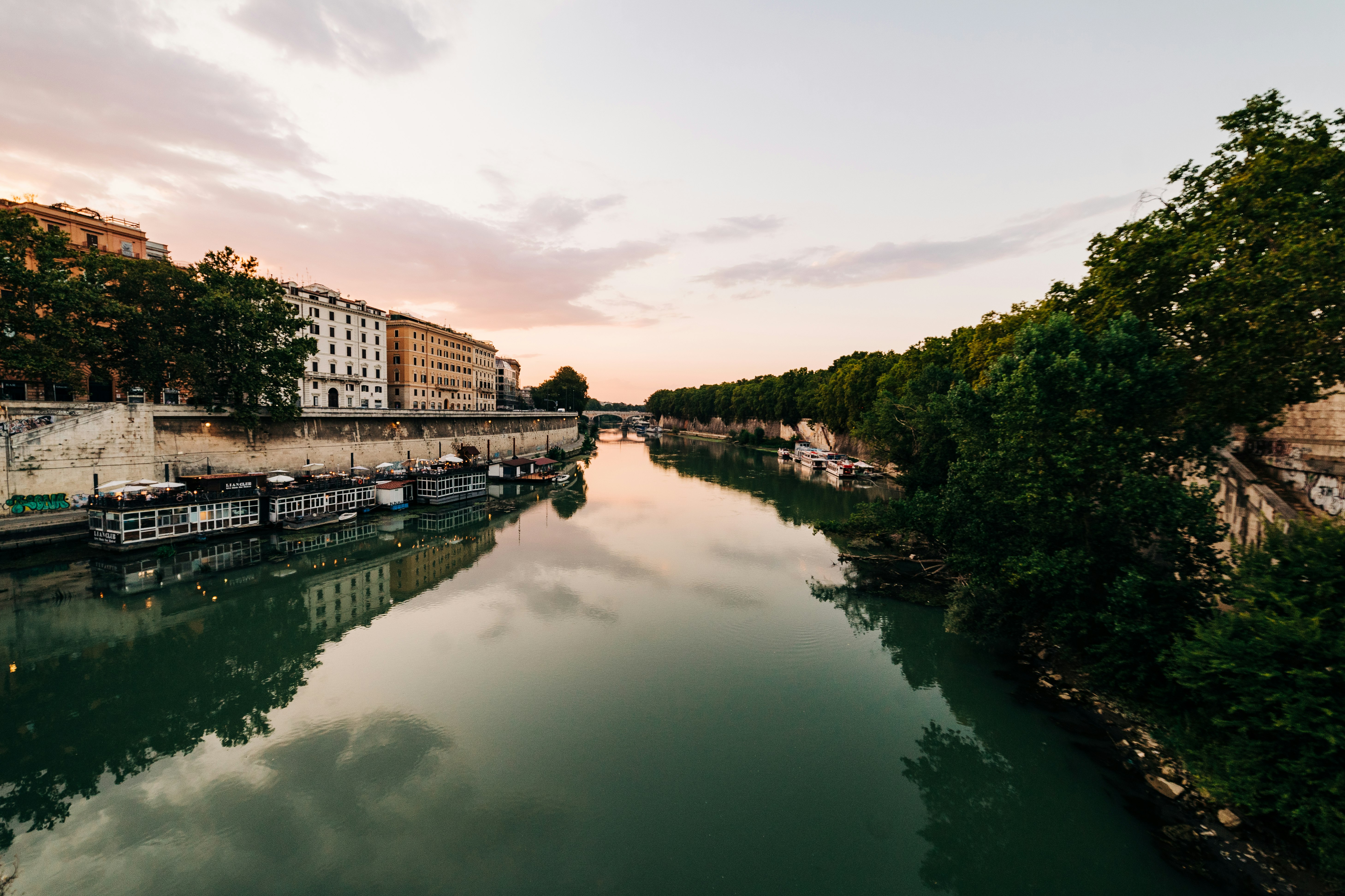 green trees beside river under white clouds during daytime